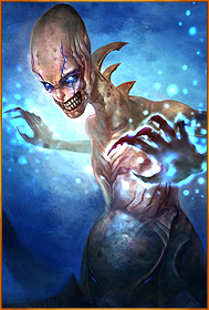 Amalilys Ultimate
