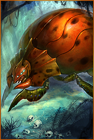 Crazy Bug Ultimate