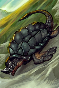 Schildkröte Entwickelt