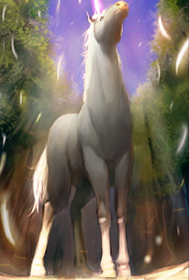 Einhorn Basis