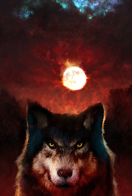 Wolf Entwickelt
