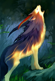 Wolf Ausgewachsen