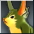 Hase